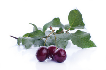 Sweet ripe cherry with leaf