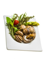 Escargot with asparagus, rosemary, thymus and tomato
