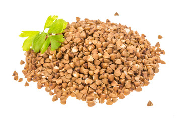 Fototapeta premium Buckwheat