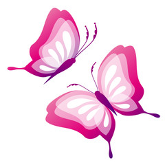 butterflies design