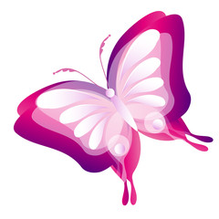 butterflies design