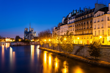 Fototapeta na wymiar Cathedrale Notre-Dame, Paris, France