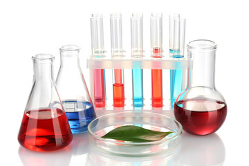 Test-tubes and green leaf tested in petri dish, isolated
