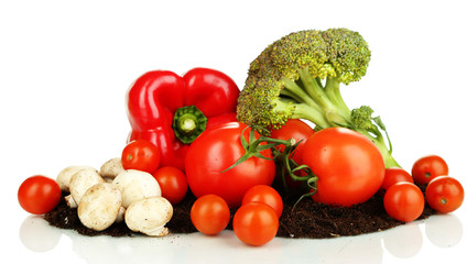 Vegetables on ground isolated on white