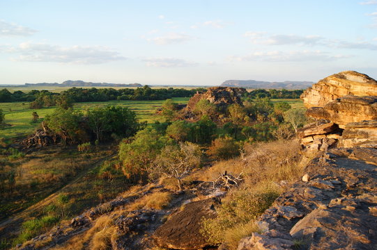 kakadu