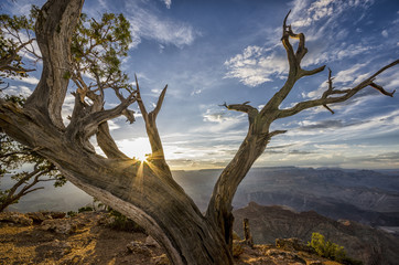 Fototapeta na wymiar Tramonto al Grand Canyon
