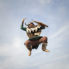 Vikings attack from sky