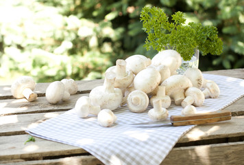 Fresh mushrooms with parsley