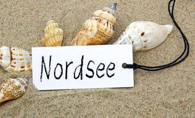 Nordsee Schild mit Muscheln am Strand
