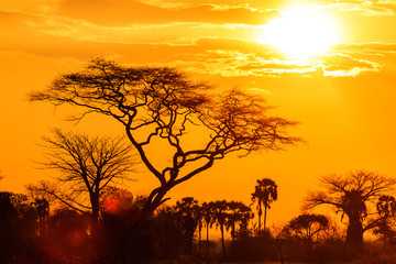 Lueur orange d& 39 un coucher de soleil africain