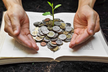 Hands caring tree growing from books with coins © weerapat1003
