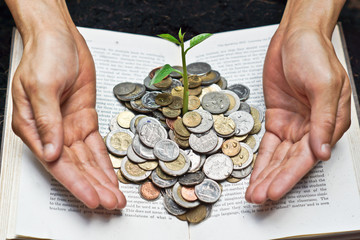 Hands caring tree growing from books with coins
