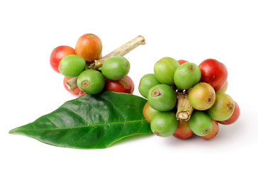 coffee beans isolated on white background