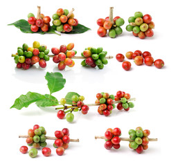 coffee beans isolated on white background