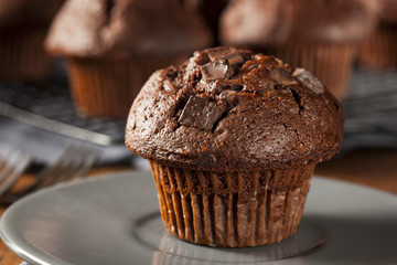 Double Chocolate Chip Muffin