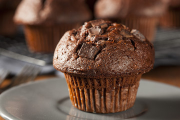 Double Chocolate Chip Muffin