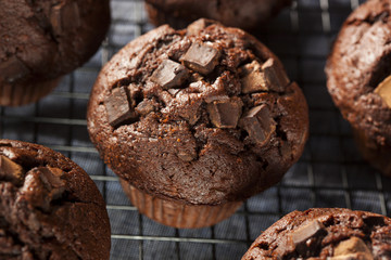 Double Chocolate Chip Muffin