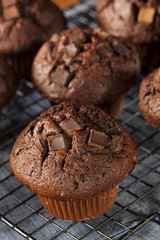 Double Chocolate Chip Muffin
