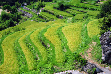 Ride Terraces-3