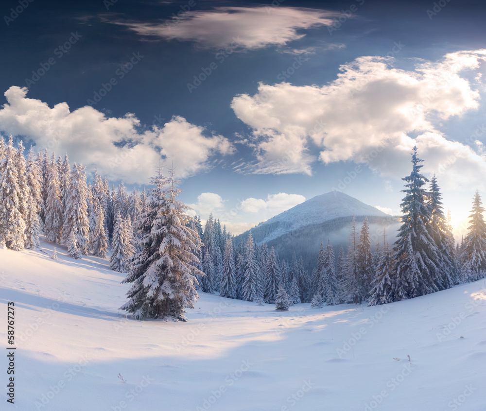 Wall mural beautiful winter landscape in the mountains