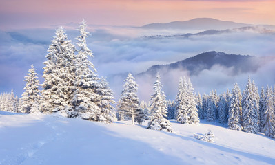 Beautiful winter sunrise in the mountains