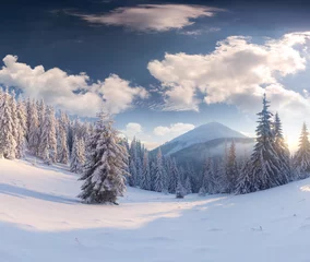  Beautiful winter landscape in the mountains © Andrew Mayovskyy