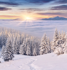 Beautiful winter landscape in the mountains. Sunrise