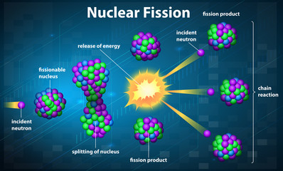 Nuclear fission