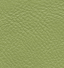 green leather texture closeup