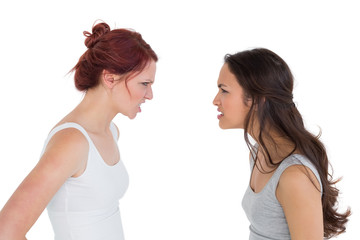 Angry young female friends having an argument