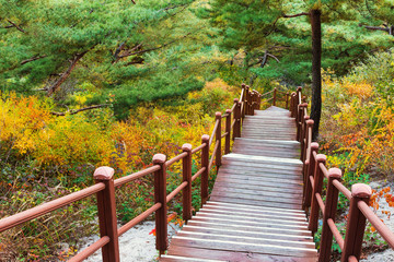 Wooden hiking path to the mountain