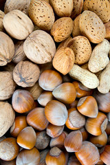 collection of shelled nuts