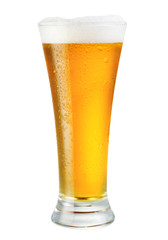 glass of beer