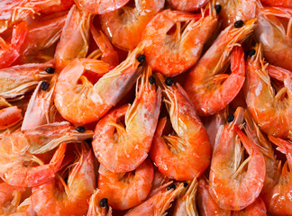 shrimps
