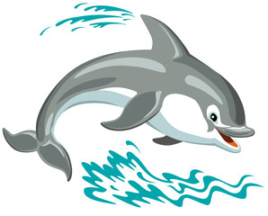 cartoon dolphin