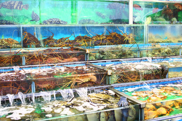 Seafood market fish tank in Hong Kong