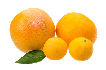 Grapefruit, tangerin and orange