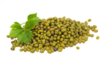 Green bean isolated