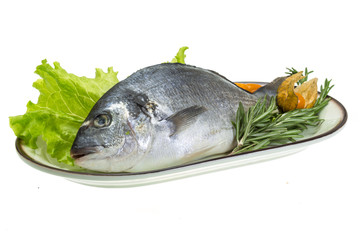Raw dorado with herbs