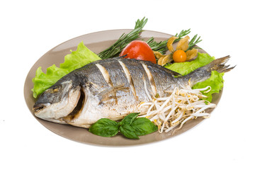Grilled dorada