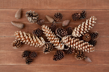 Pine Cones Decorations