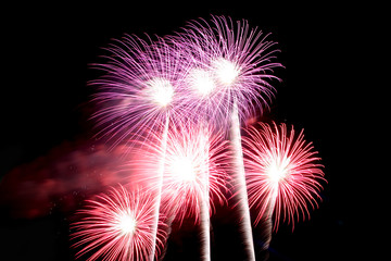 Purple and Red Fireworks Variety of Colorful.