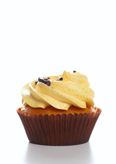 Cupcake on the white