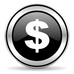 dollar icon