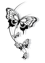 butterflies design