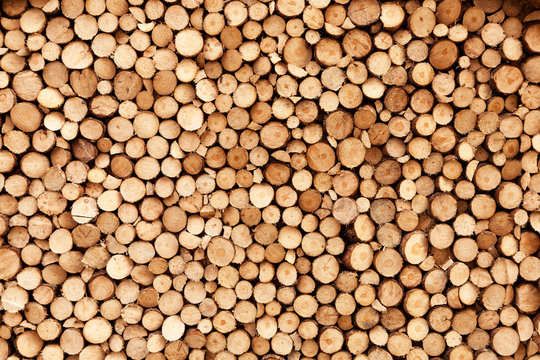 Firewood Texture