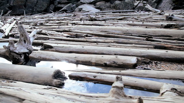 Lake Moraine driftwood timber logs, Canada