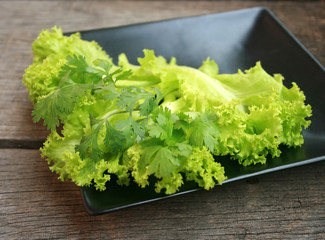 Lettuce in a plate for background