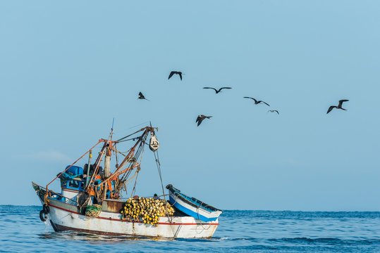 flock of birds and fishing boat in the peruvian coast at Piura P