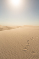 Fototapeta na wymiar Footprints going over sand dune.